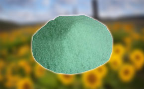 Ferrous Sulphate