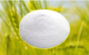 Zinc Sulphate Monohydrate